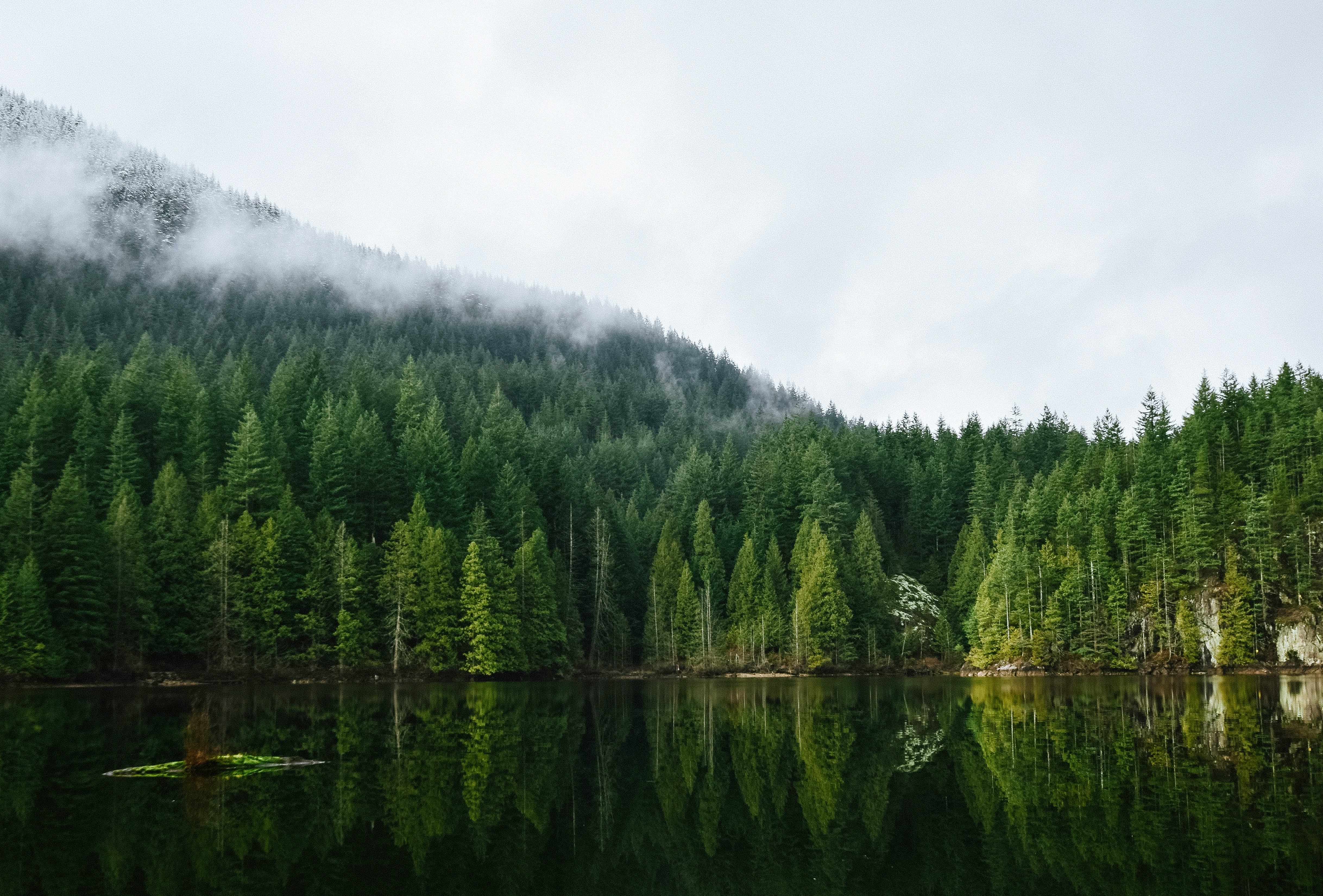 VBP Canada - jeremy-allouche-LLc-bFnJJ1o-unsplash