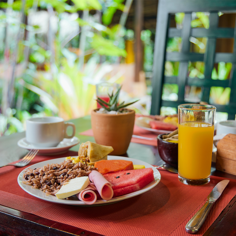 VBP - CostaRica - Shawandha Lodge (2)